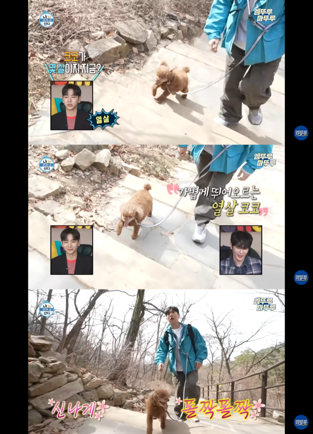 MBC 나 혼자 산다 캡처