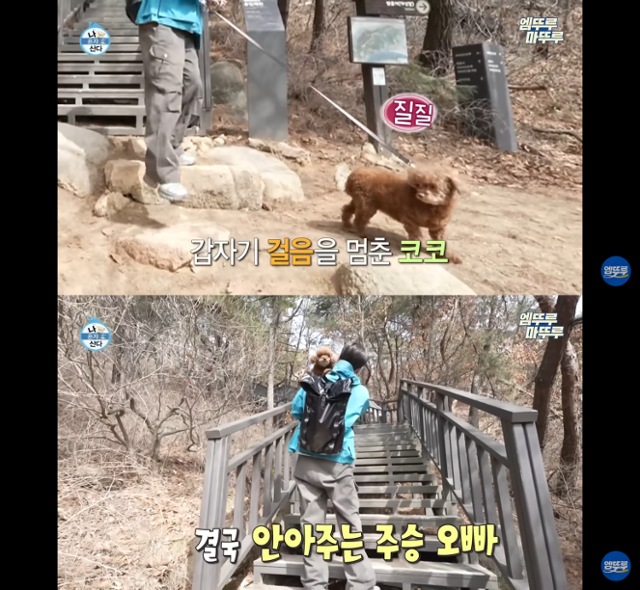 MBC 나 혼자 산다 캡처