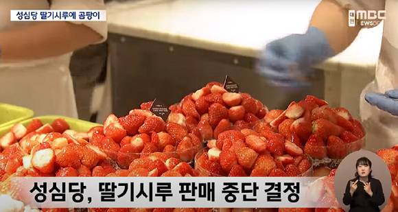 대전 대표 제과업체 성심당의 '딸기시루 케이크'에서 곰팡이가 확인돼 업체가 사과하고 판매 중단을 결정하는 일이 발생했다. 사진은 대전MBC 보도화면. [사진=대전MBC]