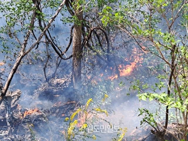 ▲ 26일 오후 1시 11분쯤 인제군 상남면 하남리 인근 야산에서 발생한 산불이 확산하면서 진화헬기가 29대를 투입하는 등 총력전을 펼치고 있다. 최초 발화지점 모습.