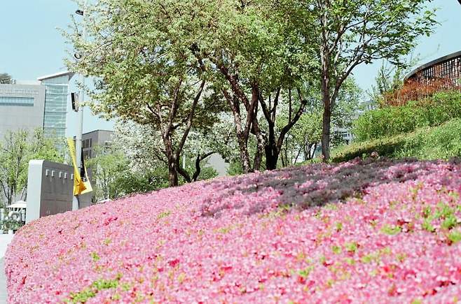 789ff100b386688023ebf796309c706953538adbafef804a4a30244dc338a659d9911a96f9b0e1b66bb1479c574874d0c901b28564