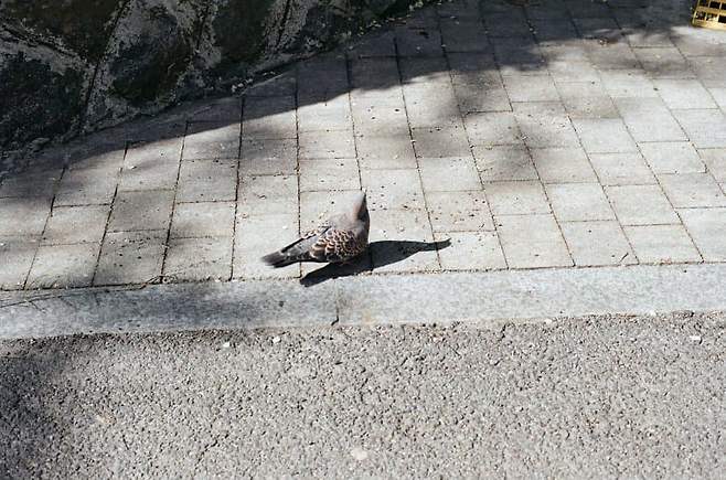 7ee88975b6876ffe239af4e6479c701c13f472e50a4759b01e85789478eb5ccaa7218ef5fb0dff36d84793aeee5480c9de0de34153