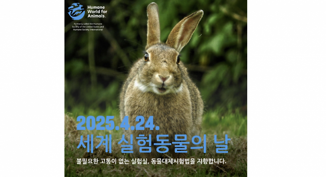 4월 24일 '세계 실험동물의 날' 홍보물. 휴메인 월드 포 애니멀즈 제공