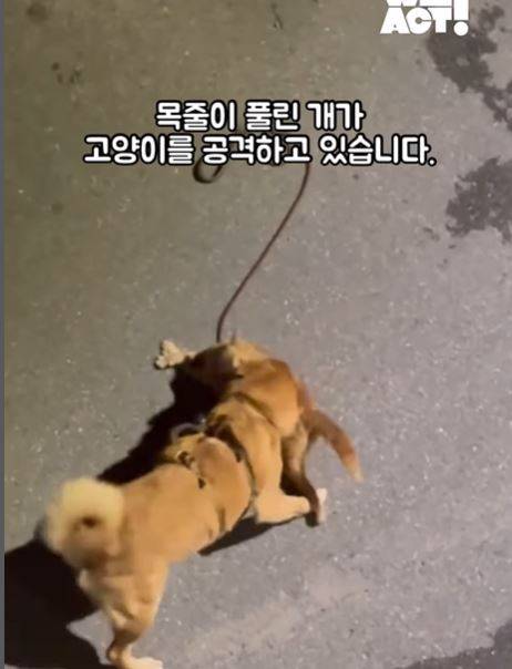 사진 위액트 인스타그램 캡처