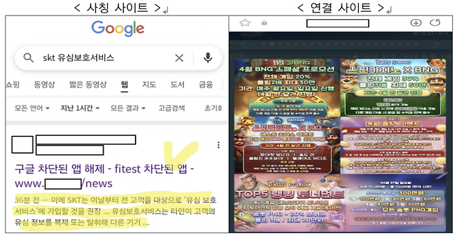 SKT 유심 해킹 사태를 악용한 피싱 사이트 예시 [출처 = 과학기술정보통신부]