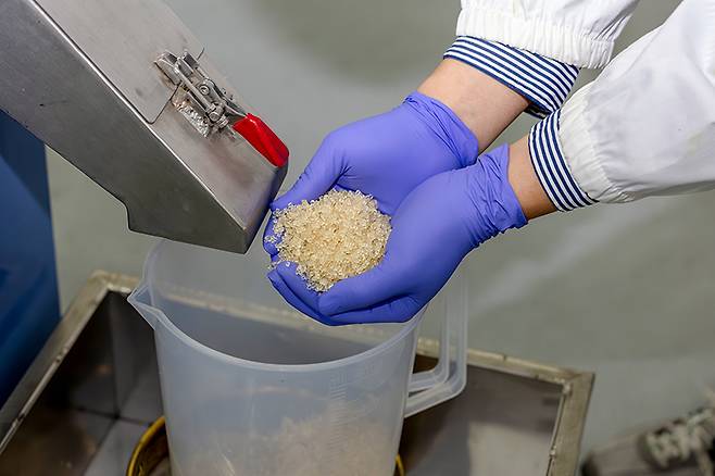 신규 생분해 플라스틱(PEA 소재)이 쌀알 형태(펠렛)로 가공된 모습. 산업체에서 펠렛을 이용해 생분해 섬유 등 최종 제품 생산 가능하다.[한국화학연구원 제공]