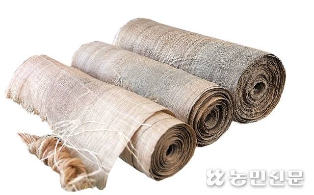완성된 삼베.