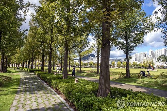 부산시민공원 도시숲 [연합뉴스 자료사진]