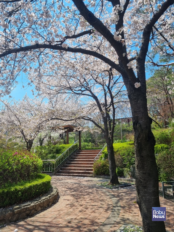 직장인도 휴가 내고 싶은 봄날. 아이들이라고 다를까. ⓒ최은경