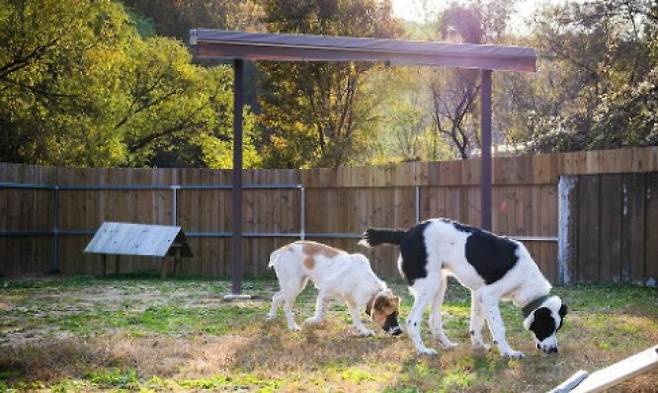 (사진=연합뉴스)