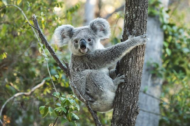 (사진=게티이미지)