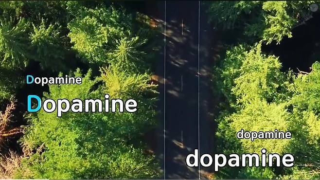 Screenshot_20250428_080750_YouTube.jpg 비트박스 윙-도파민 최신근황