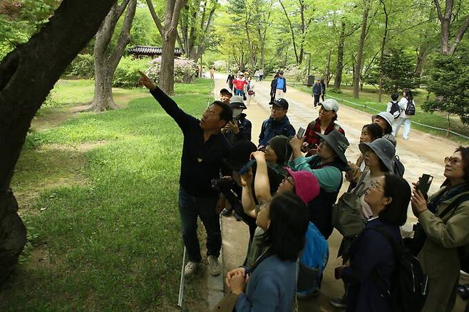 지난 27일 ‘딱다구리보전회’ 회원들이 ‘제2회 딱다구리의 날’을 맞아 서울 종로구 종묘 숲에서 딱따구리 탐조를 벌였다. 사진은 김성호 공동대표가 둥지에 대해 설명하는 모습. 딱다구리보전회 제공