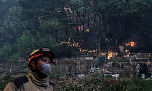 대구 북구 노곡동 함지산에서 산불이 발생하고 있다. 2025.4.28 [사진=연합뉴스]