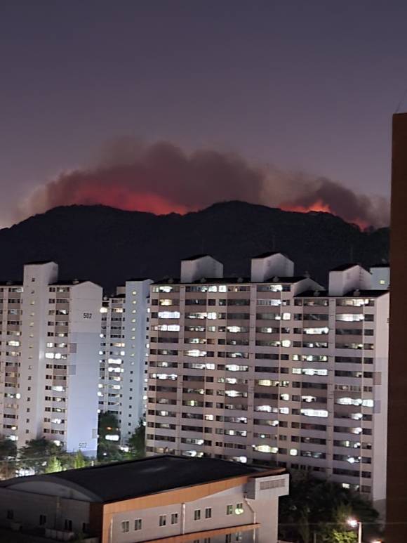 칠곡3지구에서 바라본 대구 산불 화재 현장 [사진=독자제공/연합뉴스]