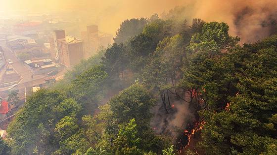 28일 오후 2시 1분쯤 대구 북구 노곡동 함지산에서 발생한 산불이 인근인 조야동 민가까지 확산하고 있다. 연합뉴스