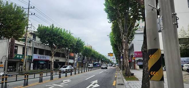 대구 도시철도 4호선 건설이 예정된 북구 대현동 도로의 모습. 왕복 5차로 도로의 한 가운데에 약 8ｍ 폭의 상판이 놓일 예정이다. 대구안전생활실천시민연합 제공