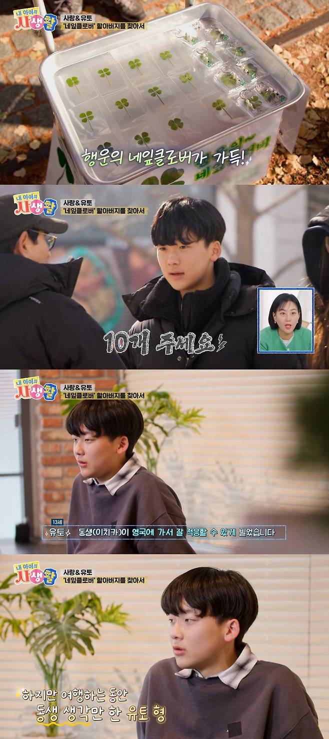 ENA ‘내 아이의 사생활’ 캡처