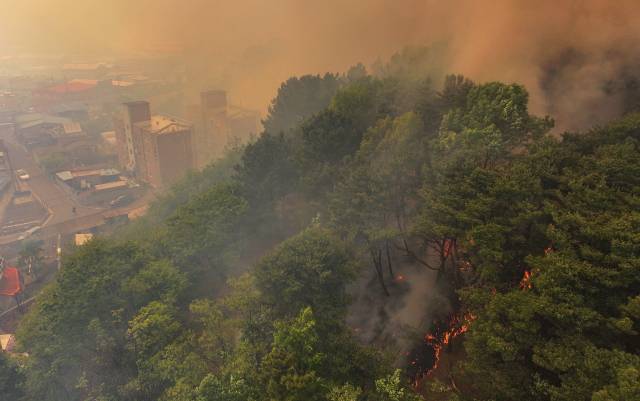 28일 오후 2시 1분께 대구 북구 노곡동 함지산에서 발생한 산불이 인근인 조야동 민가까지 확산하고 있다. 연합뉴스