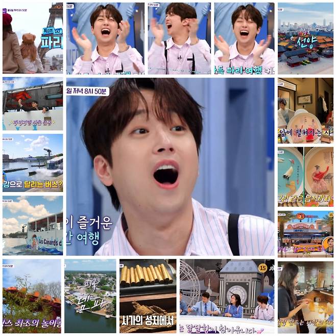 "실제 회라고? 우와!" 이찬원과 떠나는 흥미진진 랜선 여행 [톡파원 25시]