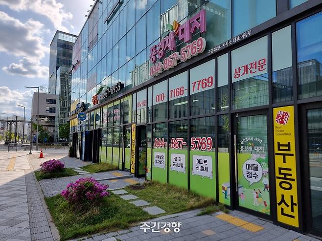 4월 21일 세종시 나성동 일대 부동산 중개업체들 모습 / 이호준 기자