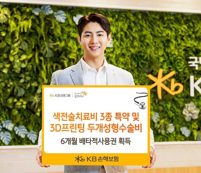 [KB손해보험 제공]