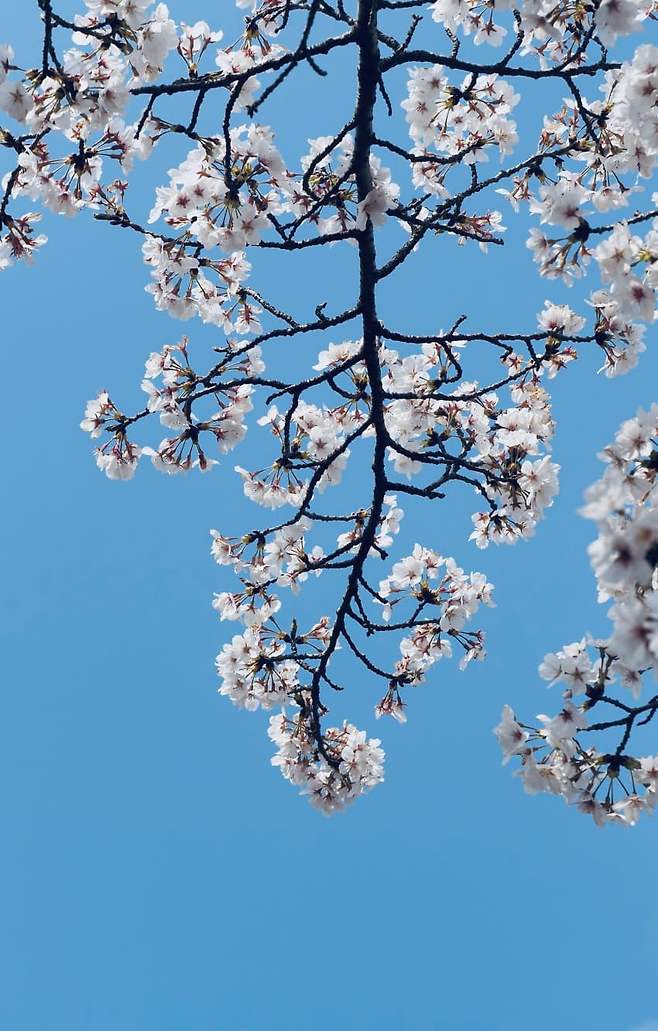 7fed817fbc806d8323ed83904f9c701e73d1dd874690adb88454483c4d90f0899d0b77b51a11d01709353d2f9449c0b24b160f2d6d