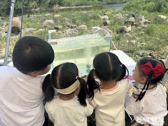 29일 경북 경산 금호강에서 열린 꼬치동자개 5차 복원 방류 현장에서 어린이들이 신기한 표정으로 물고기를 바라보고 있다. 경산=전채은 기자 chan2@donga.com