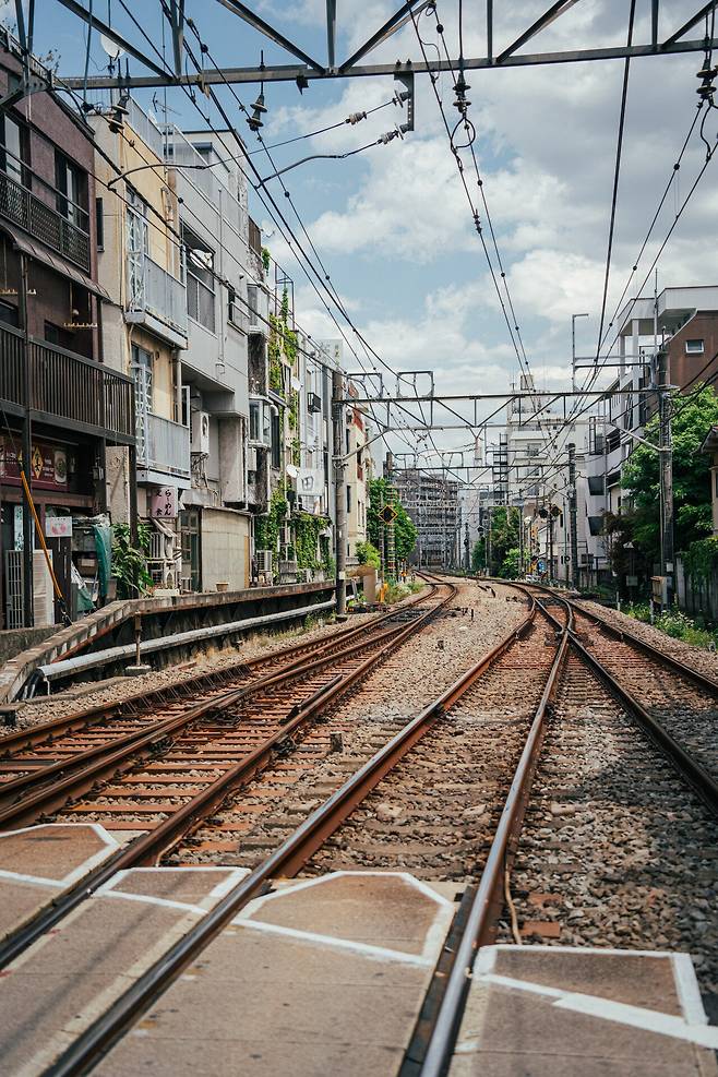 카메라 렌즈 구매기념 동네 산책