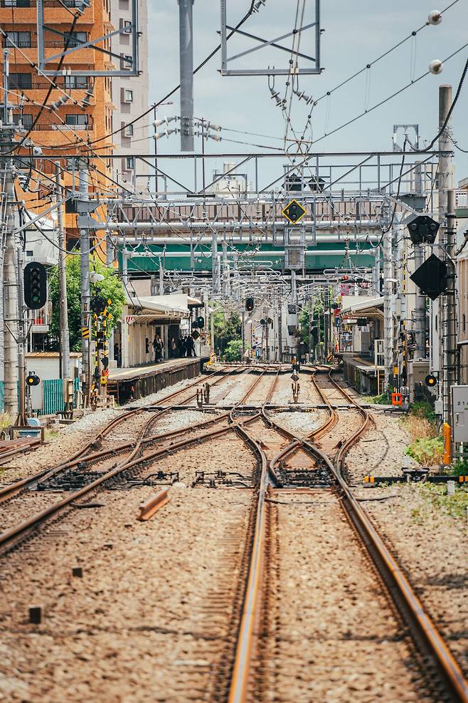 카메라 렌즈 구매기념 동네 산책