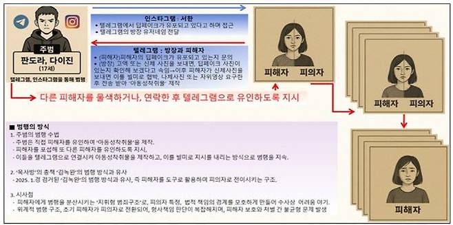 경찰이 제작한 일명 '판도라'의 범행 수법 그림. /사진=서울경찰청 제공