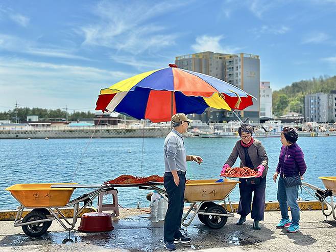 영덕 강구항에서 홍게를 사고 파는 사람들(ⓒ뉴스1, 무단 전재-재배포 금지)