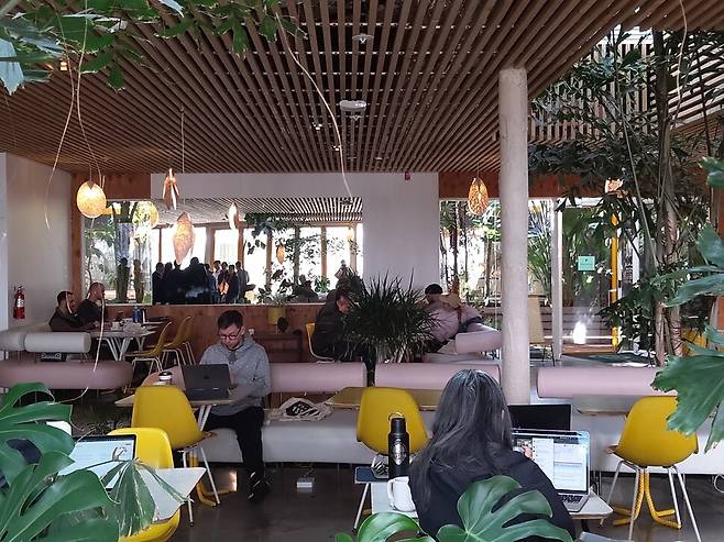 미국 로스앤젤레스(LA) 시내에 자리한 ‘더 프리저브’ 1층 카페에서 이용자들이 노트북을 펴서 작업을 하고 있다. 김광수 선임기자