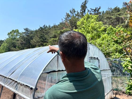 대구 북구 노곡동에서 지난 28일 오후 발생한 산불의 최초목격자인 권모(63·노곡동)씨가 29일 낮 12시 자신의 밭에서 당시 상황을 설명하고 있다. 대구=백경서 기자
