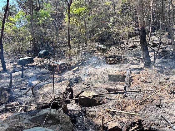 29일 낮 12시 대구 북구 노곡동 함지산. 농로를 따라 걷다가 좁은 산길을 타고 올라가면 발화예상지점이 나온다. 인근에는 소나무재선충 방제 작업장, 비닐하우스, 밭 등이 있으며 북구에 따르면 이날 여기서 소나무재선충 방제 작업은 이뤄지지 않았다. 대구=백경서 기자