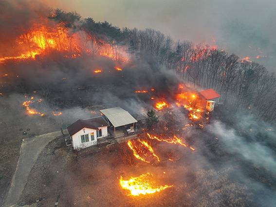 경북 의성군 대형 산불 발생 사흘째인 3월24일 의성군 옥산면 전흥리에서 강풍을 타고 번진 산불이 민가를 덮치고 있다. /윤관식 제공