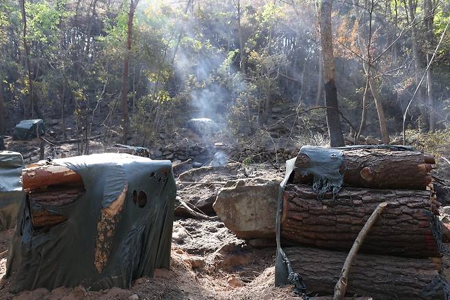 여전히 올라오는 연기  (대구=연합뉴스) 박세진 기자 = 29일 대구 북구 노곡동 함지산 산불 최초 발화 추정지 일대에서 연기가 피어오르고 있다. 2025.4.29 psjpsj@yna.co.kr