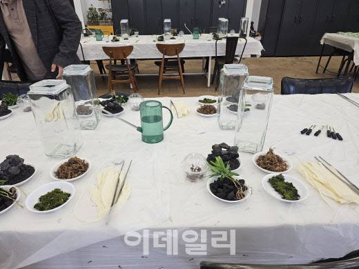 비바리움 만들기 체험