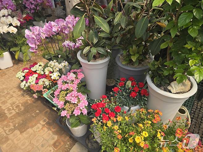 전북 익산에 위치한 '우리들의 정원'에서 위탁 판매하고 있는 주변 농가의 화 2025.04.30 ⓒ 뉴스1 김승준 기자