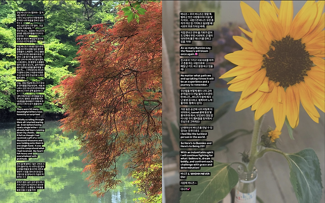 다니엘의 편지. 멤버 SNS.