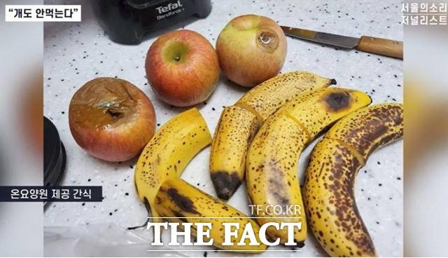 전직 대통령 부인 김건희 씨의 가족이 운영하는 노인요양원에서 심각한 부실 운영과 노인 학대 정황이 드러났다. 사진은 간식으로 내놓은 썩은 사과와 바나나. /서울의소리 캡처