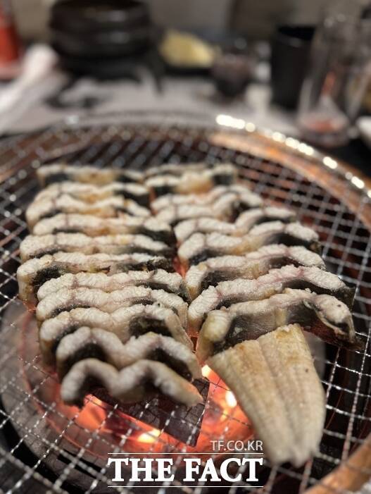 세계 5대 갯벌 중 하나인 강화 갯벌에서 자란 '강화갯벌장어'. /인천관광공사