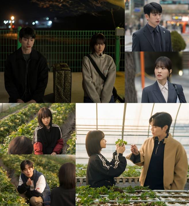 ‘미지의 서울’ 박보영, 우정+사랑+공감(사진: tvN)