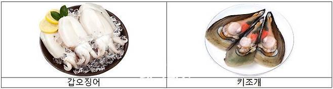 이달의 수산물 갑오징어, 키조개.ⓒ해양수산부