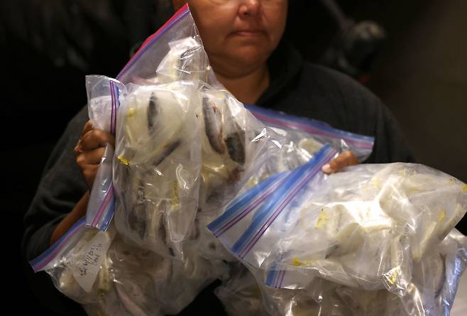 사진=게티이미지코리아.