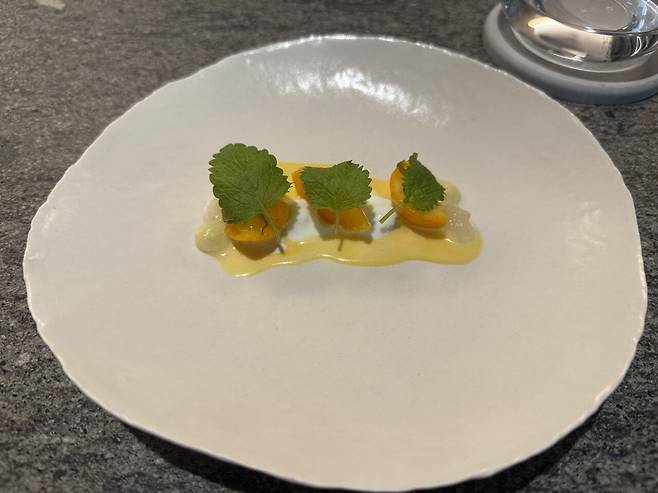 IMG_5770.jpeg 새로운 미슐랭 1스타 기가스 후기