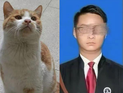 중국 쓰촨성 청두에서 지난 20일 살해된 고양이와 살해범인 변호사 A씨. 현대쾌보 캡처