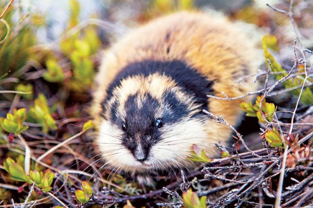 게티이미지뱅크