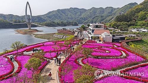 '꽃구경은 임실에서' [연합뉴스 자료사진]