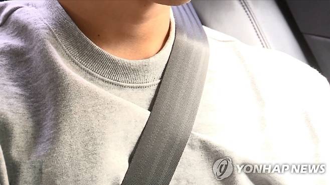 뒷좌석 안전띠 [연합뉴스TV 제공]